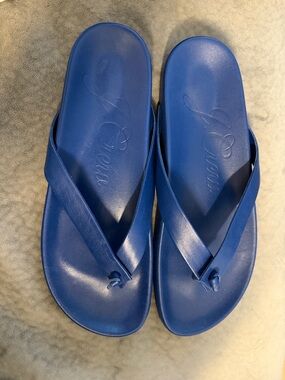 J. Crew Cobalt Blue Leather Flip Flop Sandals